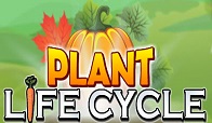 PlantLifeCycle