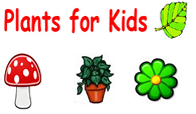 wc-plants4kids.fw